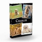 Bloc Photo Gardiens de collection de chiens de compagnie mode (Gauche)