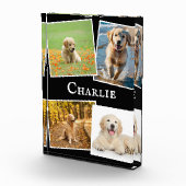 Bloc Photo Gardiens de collection de chiens de compagnie mode (Droite)