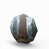 Bloc Photo Général Sherman Tree, Sequoia, CA (Droite)