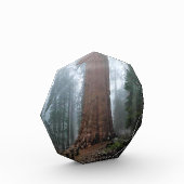 Bloc Photo Général Sherman Tree, Sequoia, CA (Gauche)