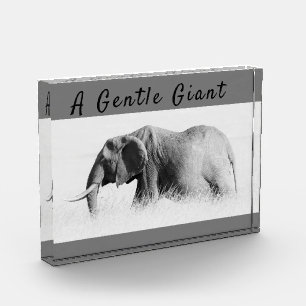 Bloc Photo Gentle Giant Elephant haute clé photo avec texte