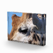 BLOC PHOTO GIRAFFE (Droite)