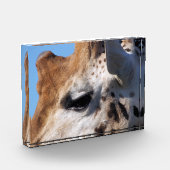BLOC PHOTO GIRAFFE (Gauche)