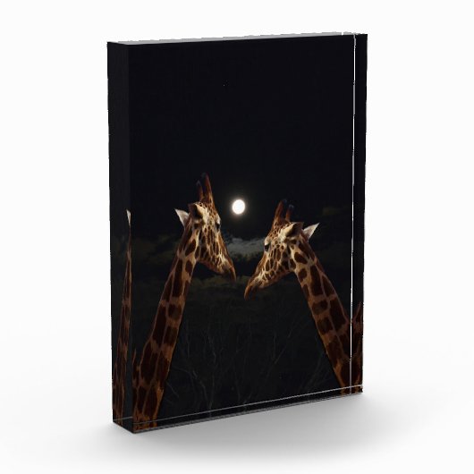 Bloc Photo Giraffe Love In the Moonlight (Gauche)