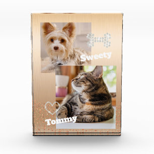 Bloc Photo Glitting Pet Gold