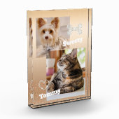 Bloc Photo Glitting Pet Gold (Gauche)