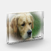Bloc Photo Golden Retriever. (Gauche)