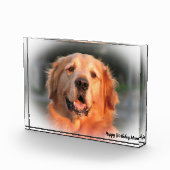 Bloc Photo Golden Retriever. (Droite)