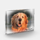 Bloc Photo Golden Retriever. (Gauche)