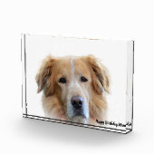 Bloc Photo Golden Retriever. (Droite)