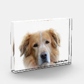 Bloc Photo Golden Retriever. (Gauche)