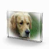 Bloc Photo Golden Retriever. (Droite)