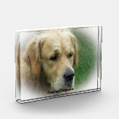 Bloc Photo Golden Retriever. (Gauche)