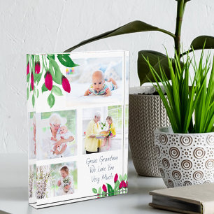 Bloc Photo Grand grand-mère rose rose rose rosebules 4 photo