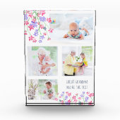 Bloc Photo Grande grand-mère Tu es la meilleure rose mousseus (Devant)