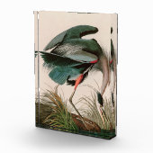 Bloc Photo Great Blue Heron Birds of America Audubon Imprimer (Droite)