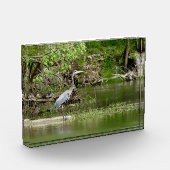 Bloc Photo Great Blue Heron Tennessee la faune de la rivière (Gauche)
