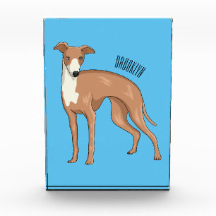 Bloc Photo Greyhound dog