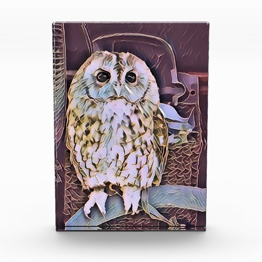BLOC PHOTO HIBOU (Devant)