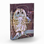 BLOC PHOTO HIBOU (Gauche)