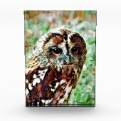 BLOC PHOTO HIBOU (Devant)