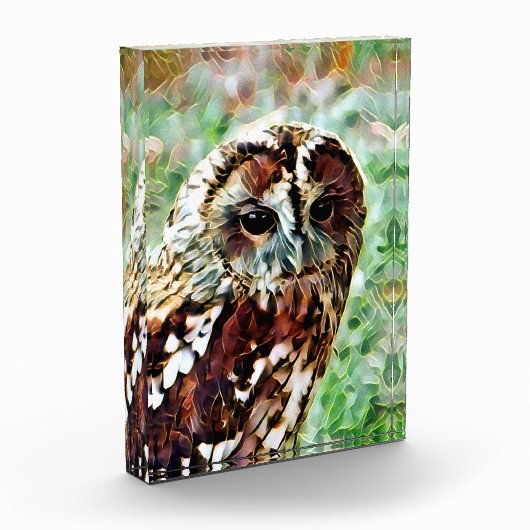 BLOC PHOTO HIBOU (Gauche)