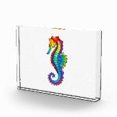 Bloc Photo Hippocampe polygonal arc-en-ciel (Droite)