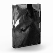 Bloc Photo Horse (Gauche)