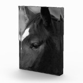 Bloc Photo Horse (Droite)