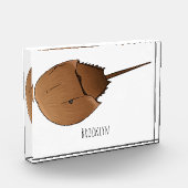 Bloc Photo Horseshoe crab (Gauche)