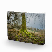 Bloc Photo Humeur du soir (Droite)