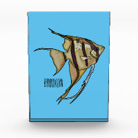 Illustration d'angelfish