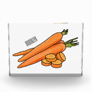 Bloc Photo Illustration de carotte