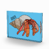 Bloc Photo Illustration de crabe ermite (Droite)