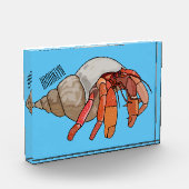 Bloc Photo Illustration de crabe ermite (Gauche)