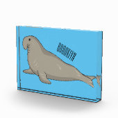 Bloc Photo Illustration de dessin de phoque éléphant (Droite)