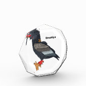 Bloc Photo Illustration de l'aigle bateleur (Gauche)