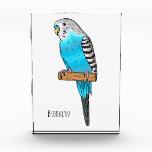 Bloc Photo Illustration de l'oiseau bleu budgerigar