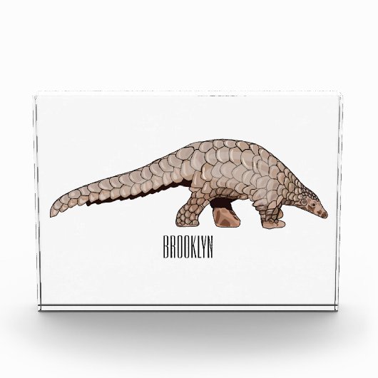 Bloc Photo Illustration de Pangolin (Devant)