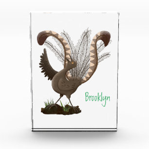 Bloc Photo Illustration de superbe et superbe lyrebird