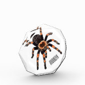 Bloc Photo Illustration de Tarantula (Gauche)