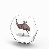 Bloc Photo Illustration d'Emu bird (Droite)