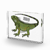 Bloc Photo Illustration d'Iguana (Droite)