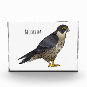 Bloc Photo Illustration d'oiseau de faucon pèlerin