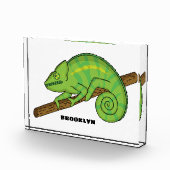 Bloc Photo Illustration du caméléon de la parson (Droite)