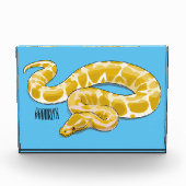 Bloc Photo Illustration du serpent python birman (Devant)