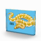 Bloc Photo Illustration du serpent python birman (Droite)