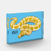 Bloc Photo Illustration du serpent python birman (Gauche)
