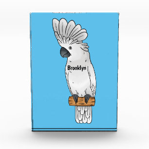 Bloc Photo Illustration d'un oiseau de cobaye-parapluie