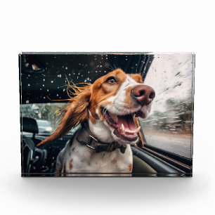Bloc Photo Impression d'art de chien excité en voiture sous l